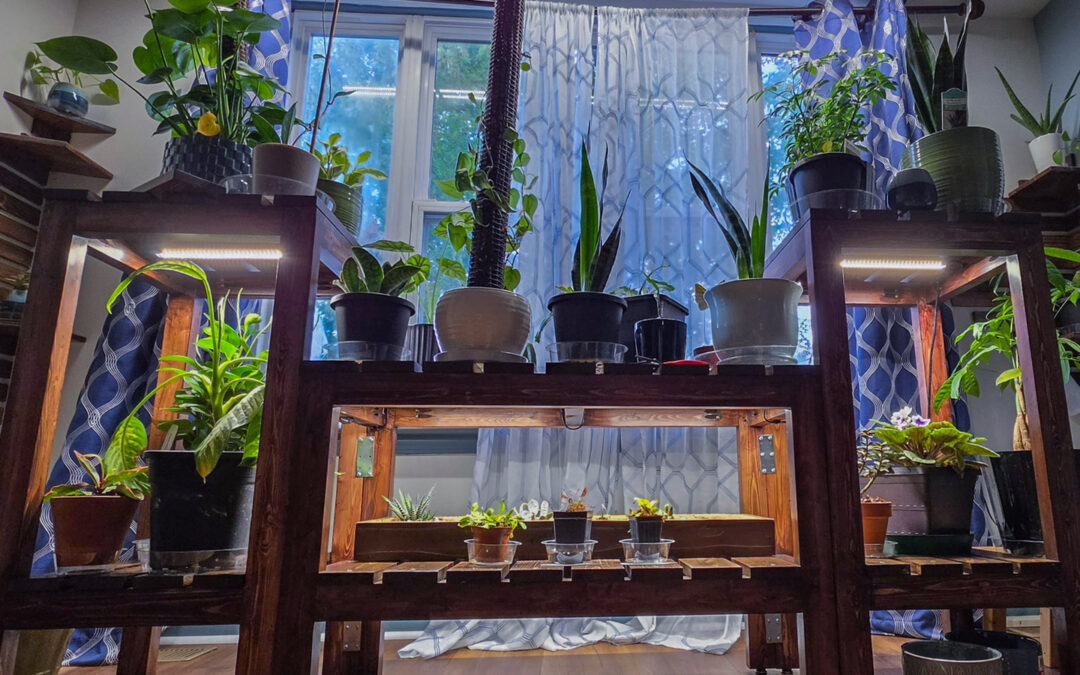 DC’s Indoor FlatScape