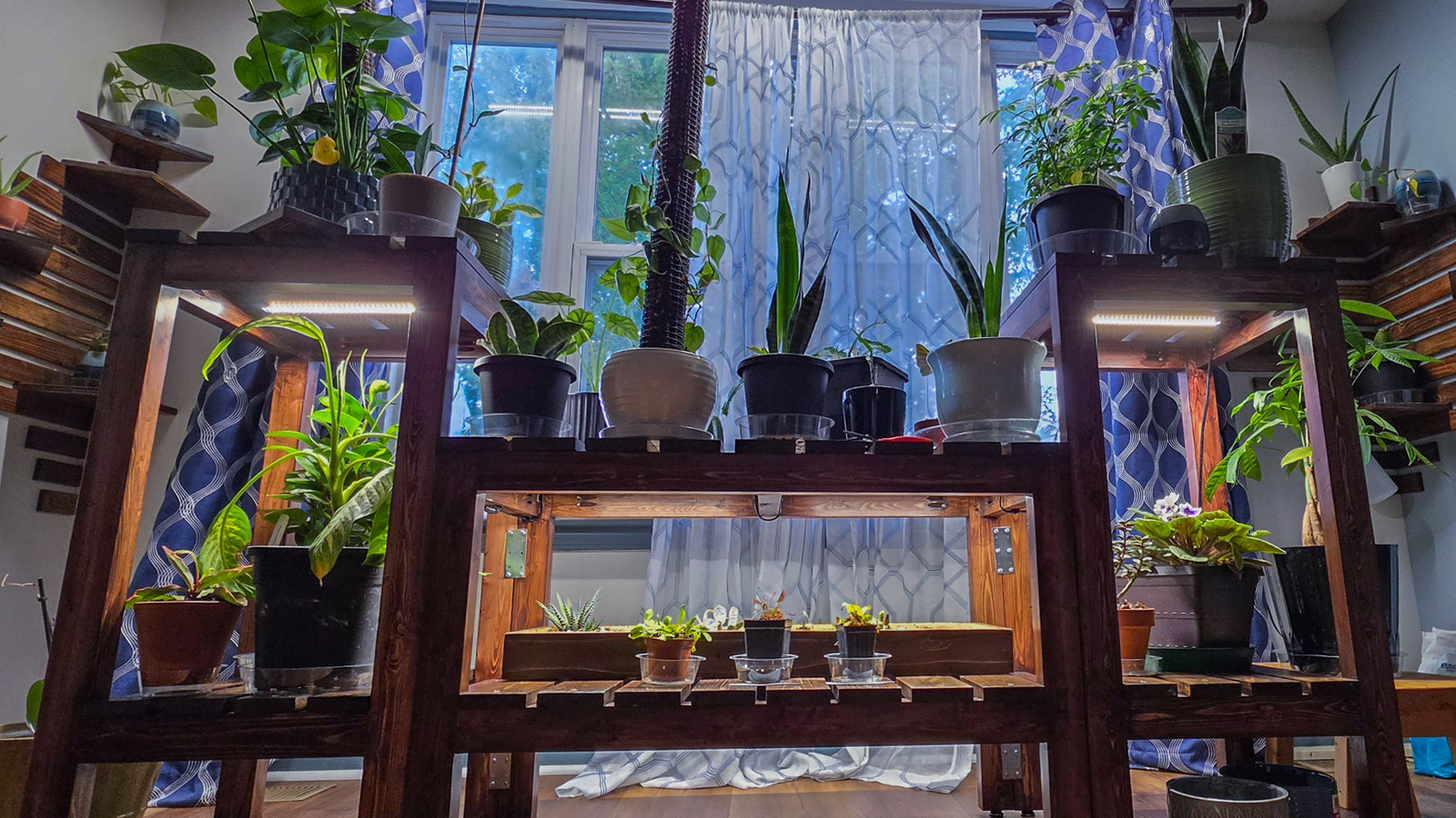DC's Indoor FlatScape